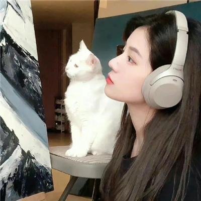 金属摇篮曲